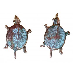 Classic Box Turtle Earrings