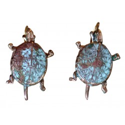 Classic Patina Box Turtle...